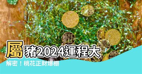 2024屬豬運勢|屬豬2024運勢丨屬豬增運顏色、開運飾物、犯太歲化解、年份